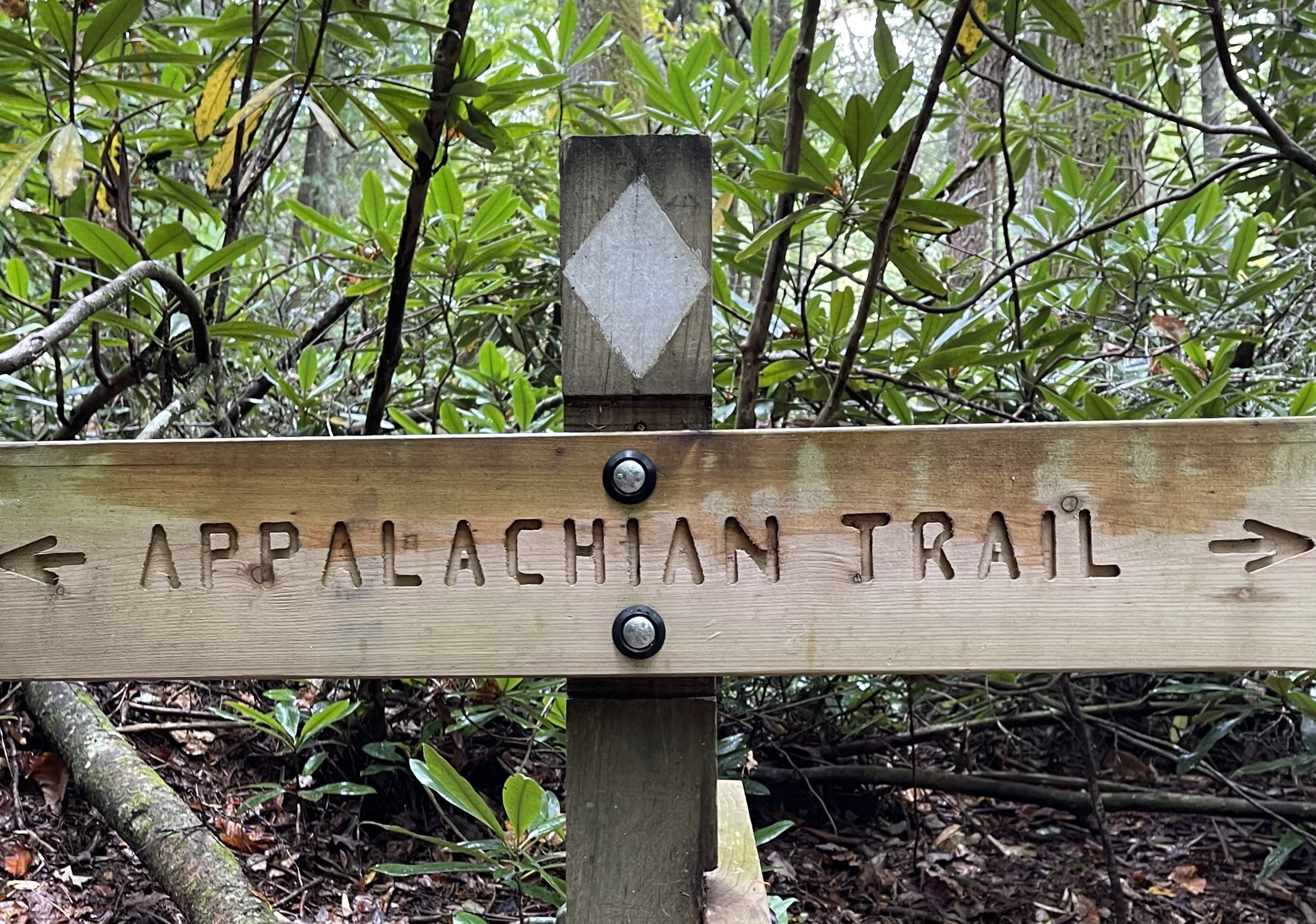 The Appalachian Trail - Our First Segment